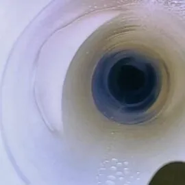 PVC liner